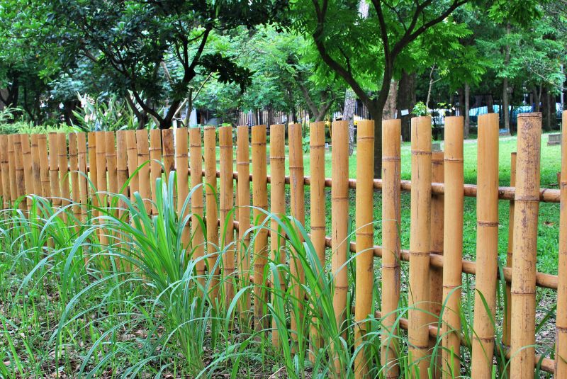 Bamboo Fence