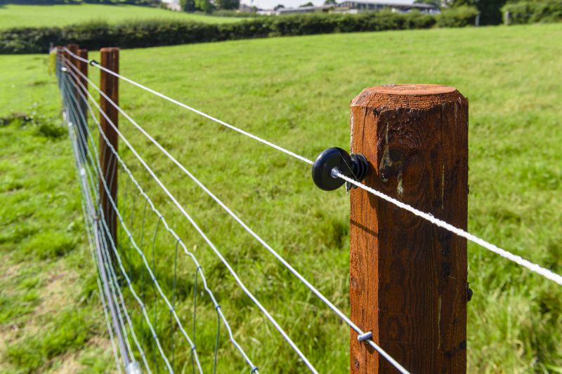 Livestock Fencing Service